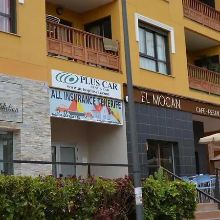 El Mocan Superior بالم مار